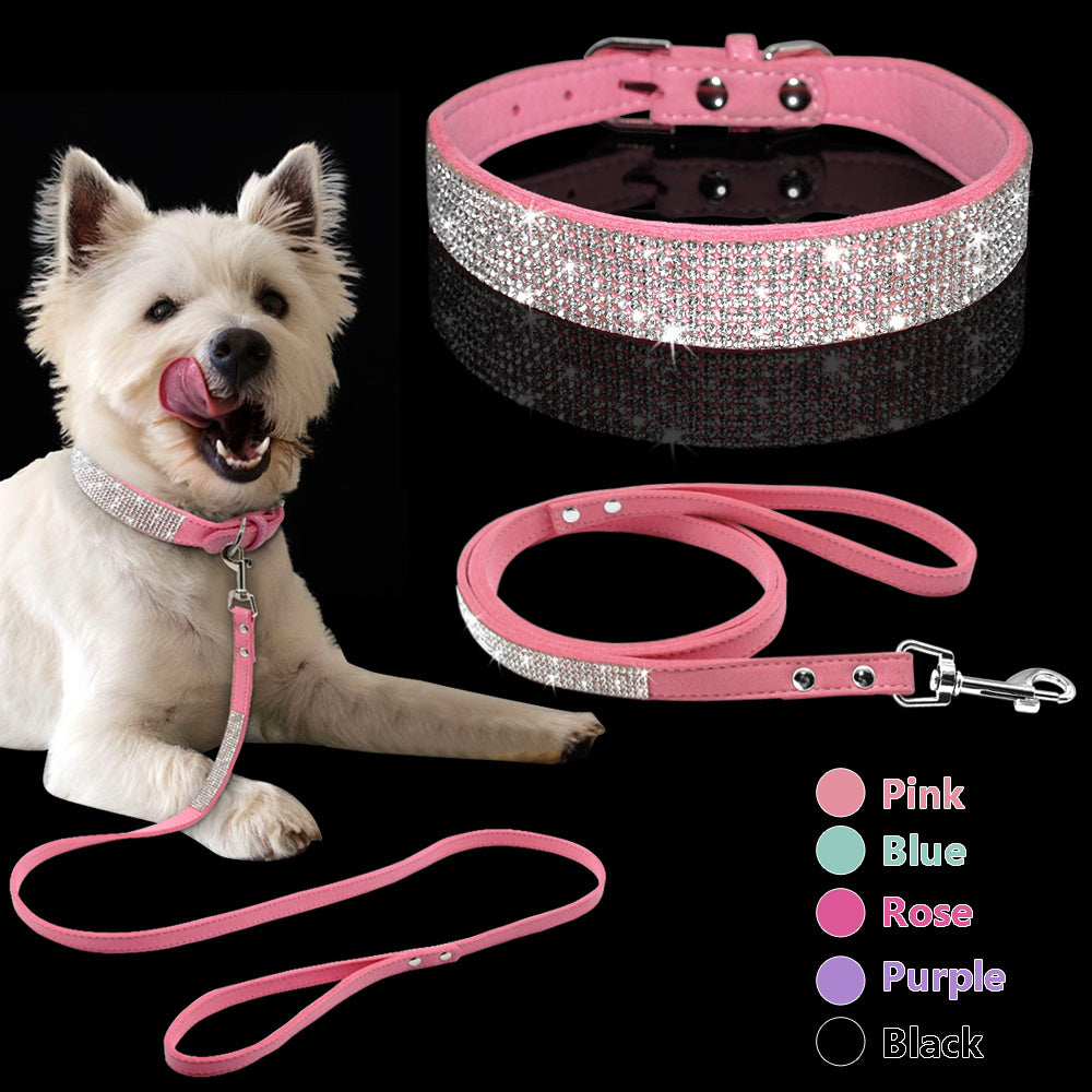 Elegantes Hundehalsband