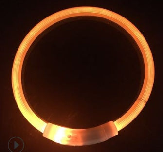 Wiederaufladbares LED-Hundehalsband mit USB-Anschluss, ideal für die Nacht, mit Teddy-Golden-Retriever-Design.