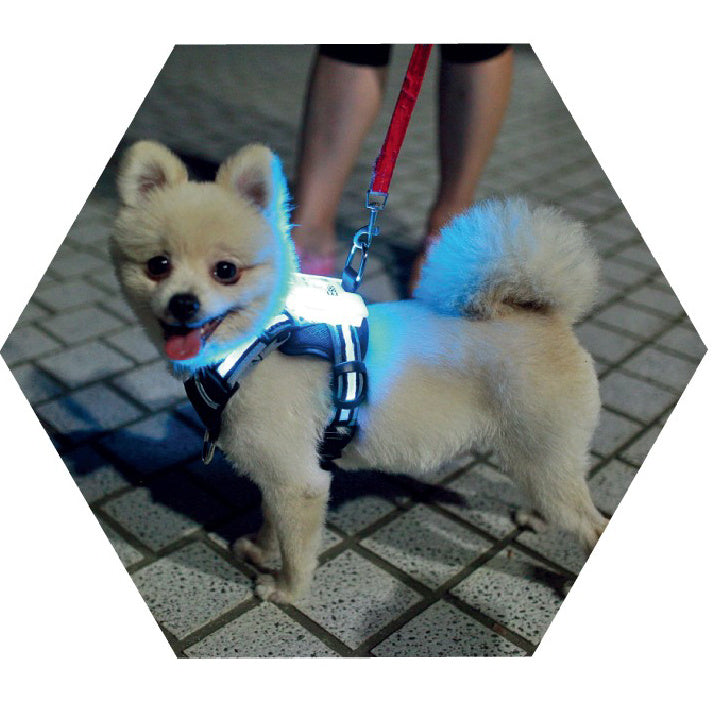 LED Light Up Dog Collar, USB Rechargeable, Silicone, for Dogs (Large, Medium and Small Sizes).