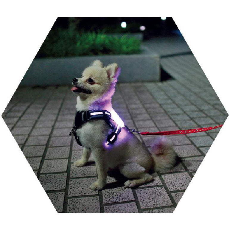 LED-Leuchthalsband für Hunde, USB-aufladbar, Silikon, für Hunde (große, mittlere und kleine Größen).