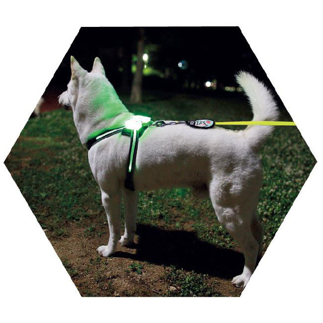 LED Light Up Dog Collar, USB Rechargeable, Silicone, for Dogs (Large, Medium and Small Sizes).