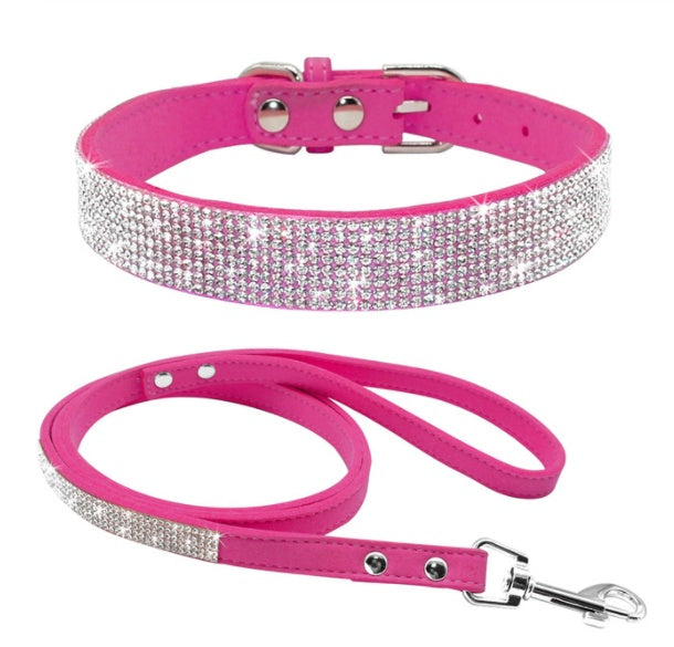 Elegantes Hundehalsband