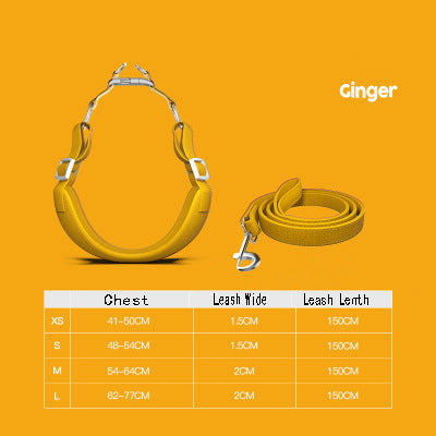 Arnés con Correa para Perros y Gatos – Cómodo y Ajustable 1.5m