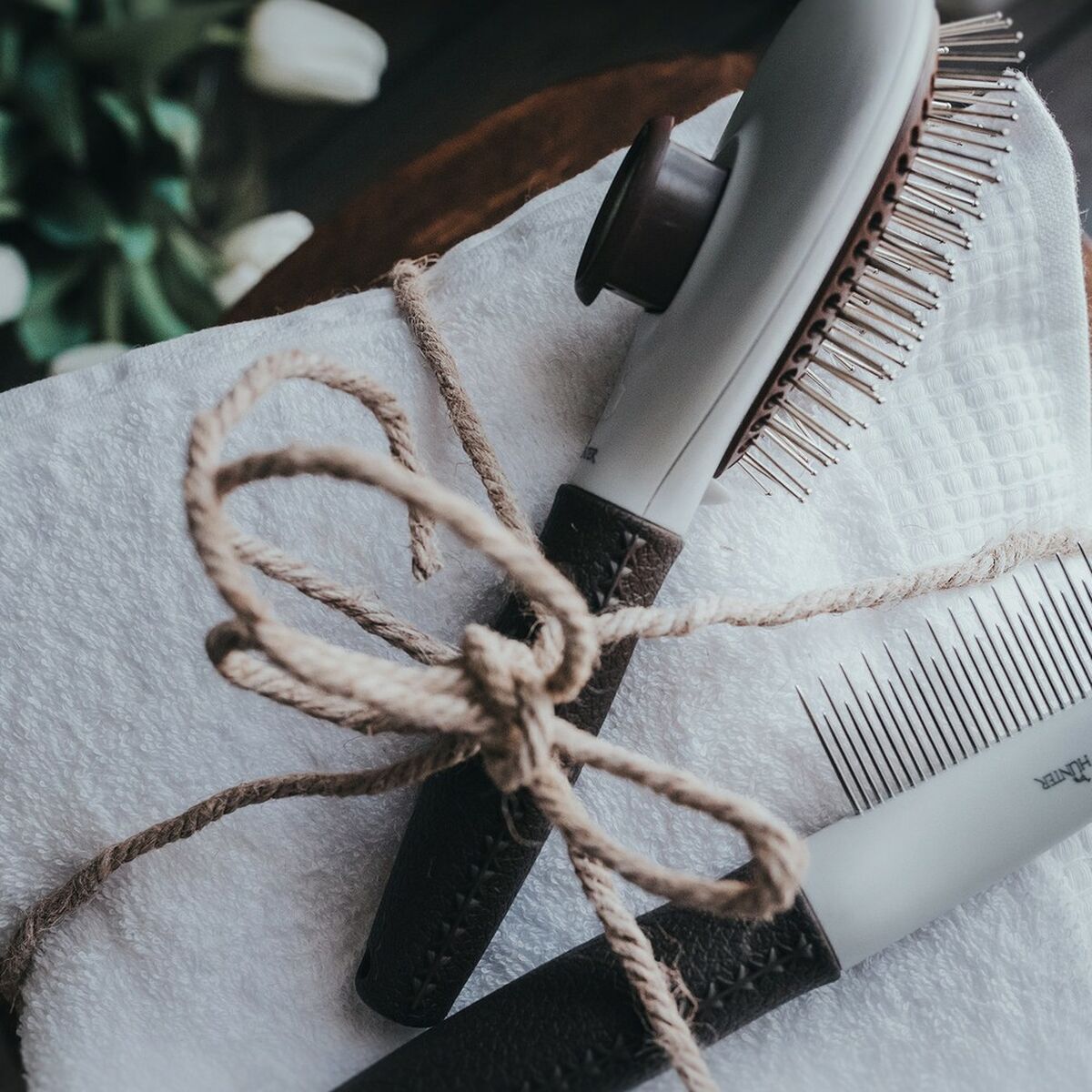 Detangling Hairbrush Hunter Self-cleaning-2