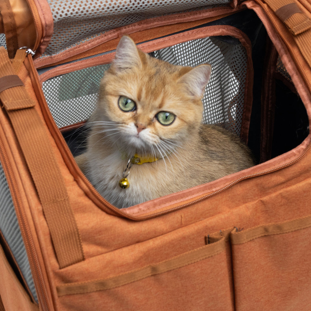 Mochila para gatos expandible, transpirable y ligera para exteriores