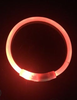 Wiederaufladbares LED-Hundehalsband mit USB-Anschluss, ideal für die Nacht, mit Teddy-Golden-Retriever-Design.