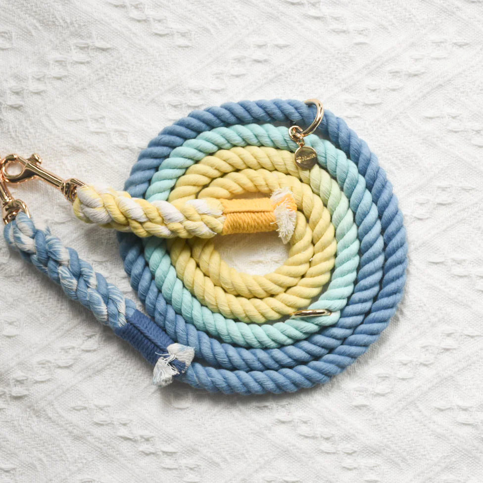 HANDS-FREE ROPE DOG LEASH - DAWN