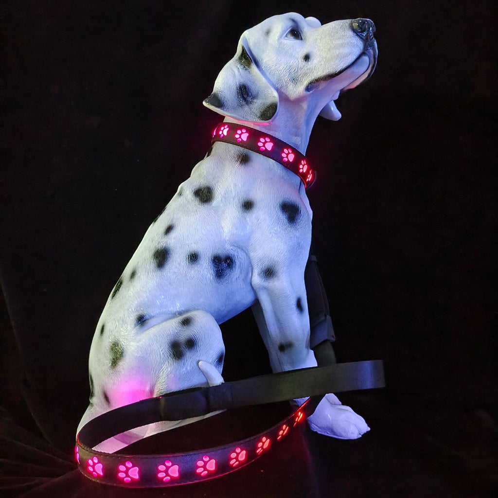 LED-Leuchthalsband mit Katzenpfotenabdruckmuster in 7 Farben