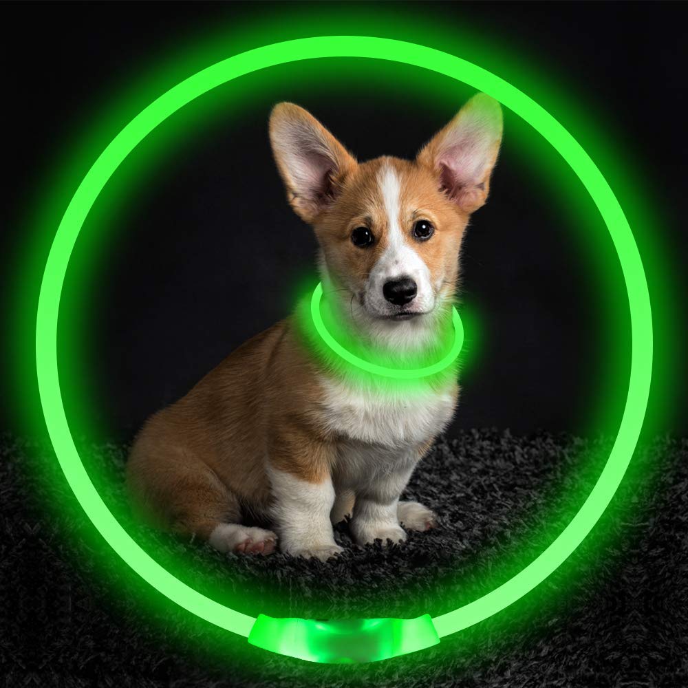 Collar Luminoso USB Recargable para Perros y Gatos – Seguridad Nocturna
