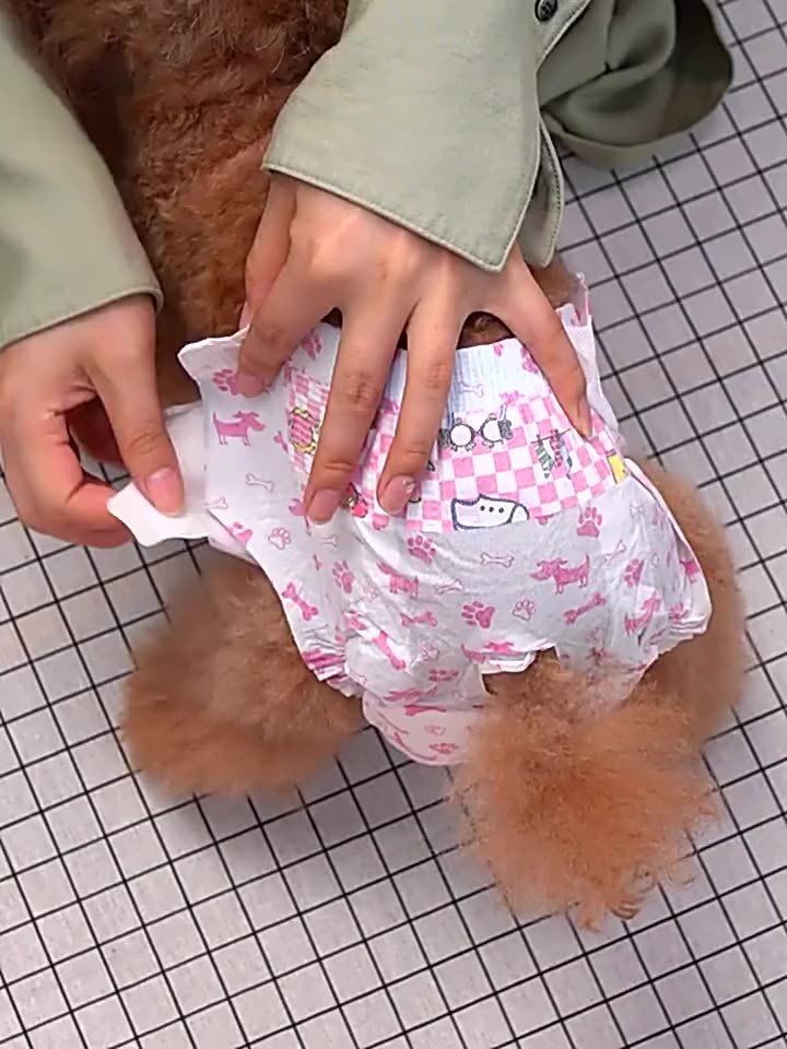 Pañales para perros y compresas higiénicas