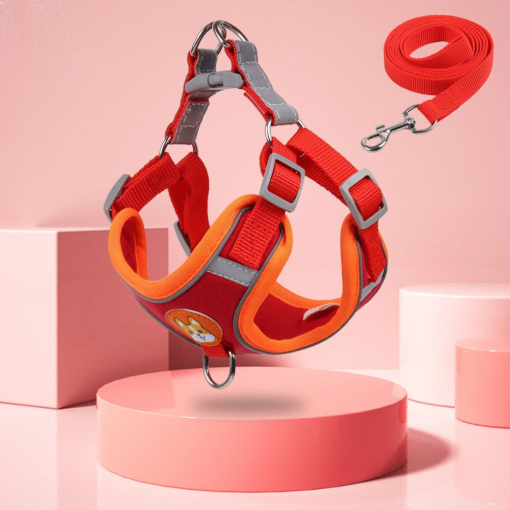 Hundegeschirr und Leine im Set. Verstellbares Geschirr und Leine für Welpen und Katzen. Reflektierende Weste für kleine Hunde und Chihuahuas. Anti-Zug-Leine.