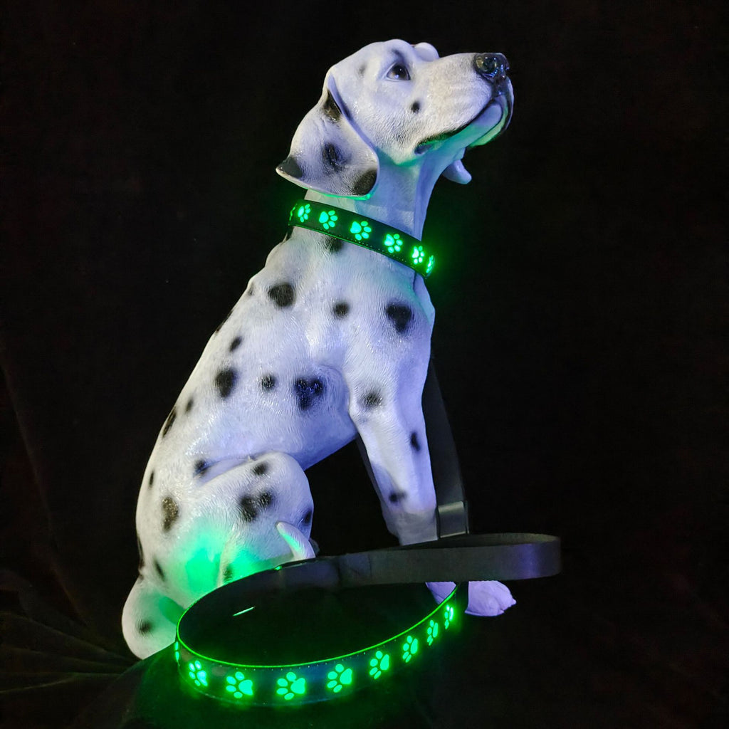 LED-Leuchthalsband mit Katzenpfotenabdruckmuster in 7 Farben