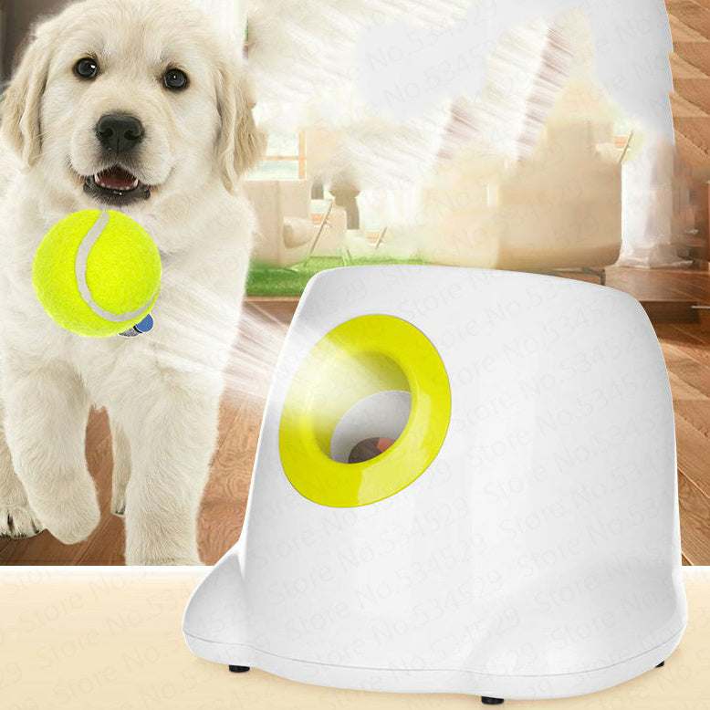 Automatic interactive ball launcher for pets.