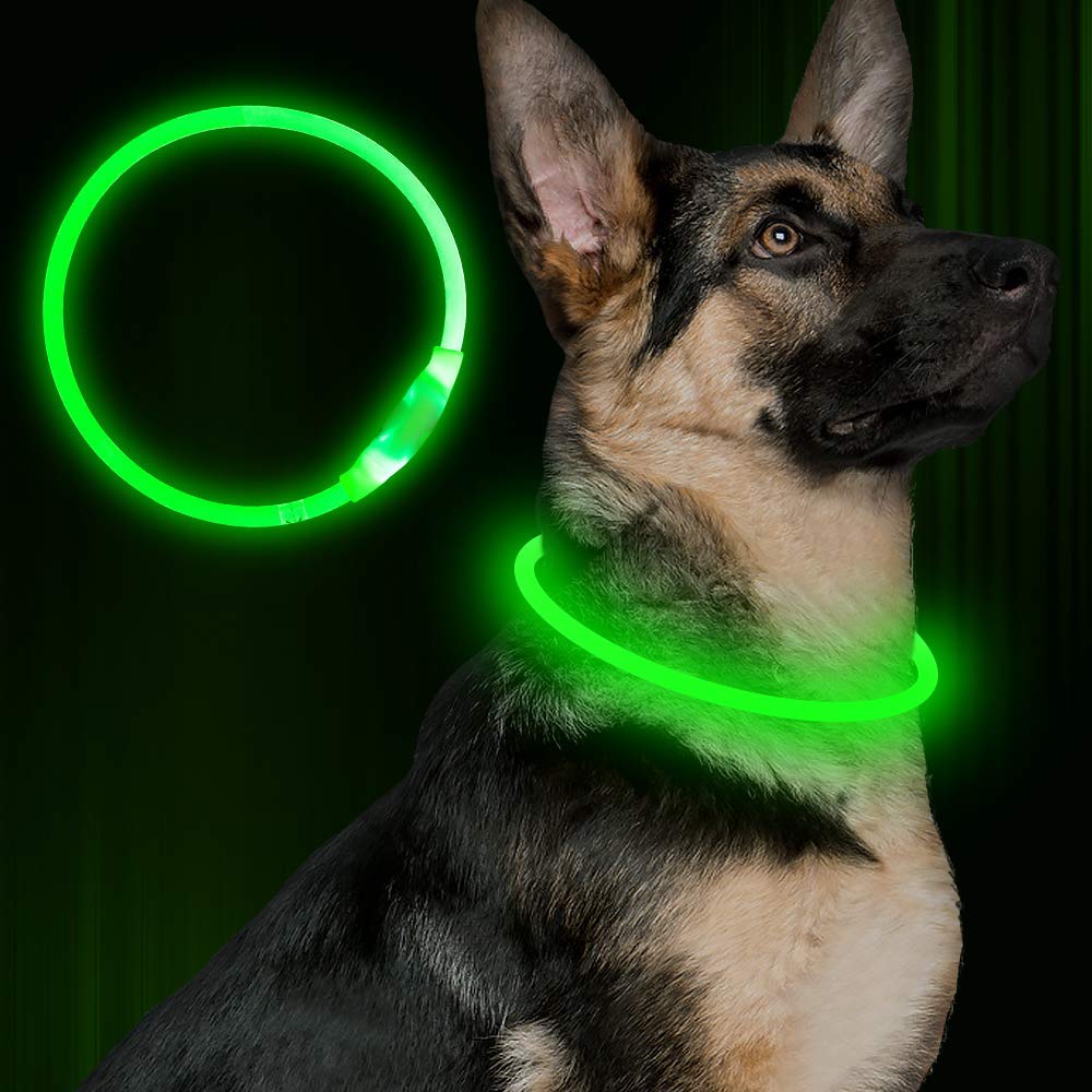 Collar Luminoso USB Recargable para Perros y Gatos – Seguridad Nocturna