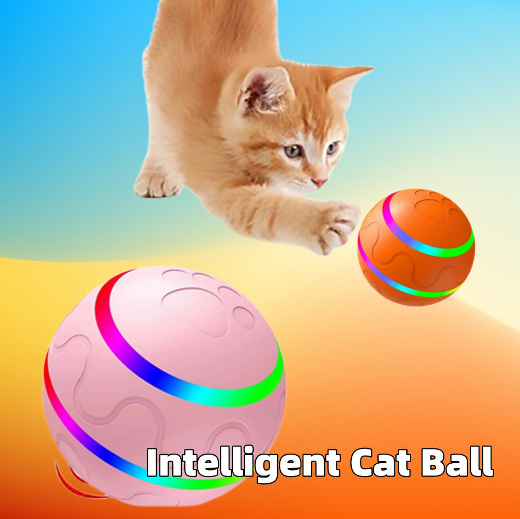 Neues Haustierspielzeug: Intelligenter Ball mit USB-Anschluss. Automatisch rotierender Ball.
