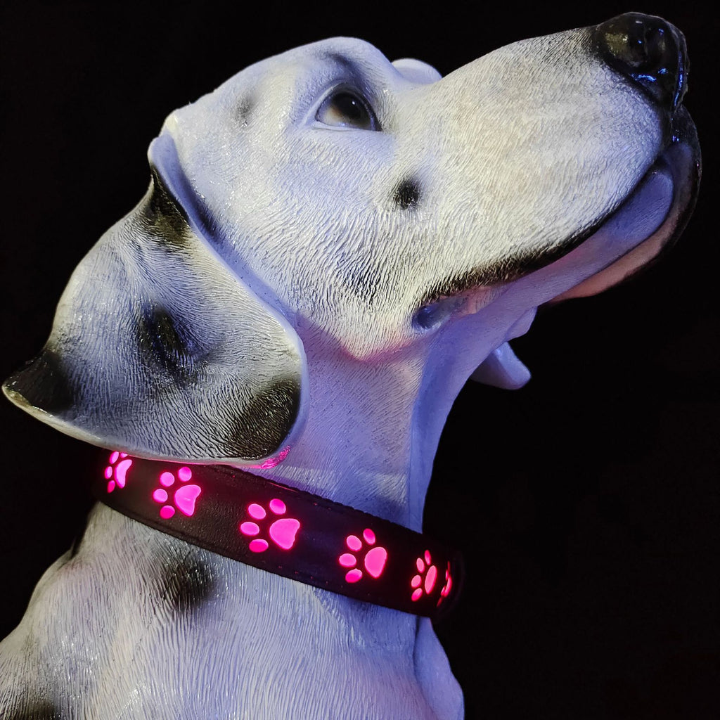 LED-Leuchthalsband mit Katzenpfotenabdruckmuster in 7 Farben