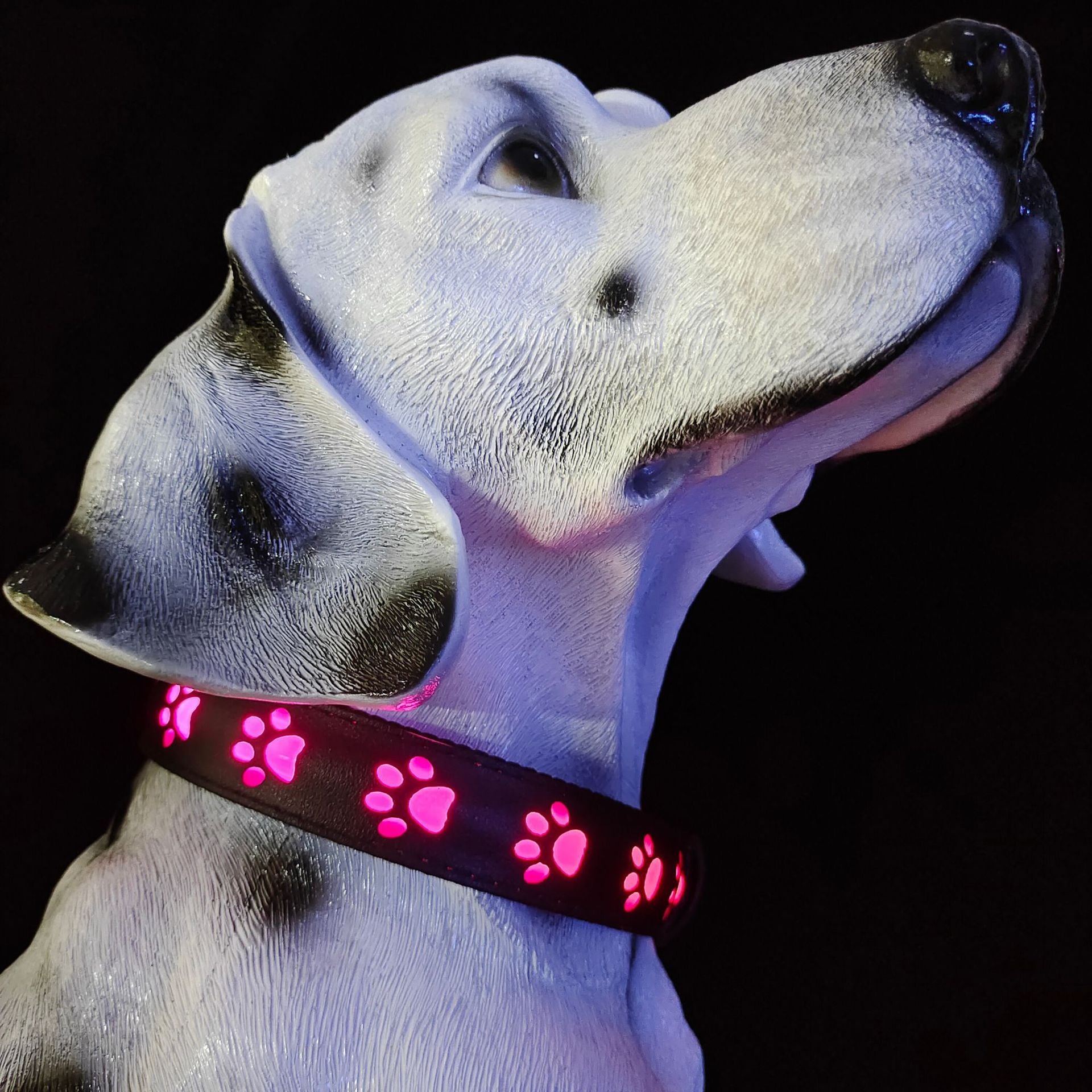 LED-Leuchthalsband mit Katzenpfotenabdruckmuster in 7 Farben